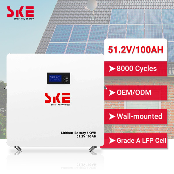Аккумуляторная батарея SKE SK-BG5120 (5,12 кВт, 51,2 В, 100AH)